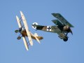 Swedish Tummelisa and German Fokker DR I