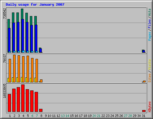 Daily usage for January 2007