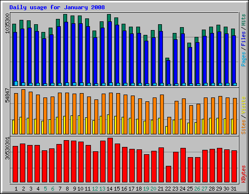 Daily usage for January 2008