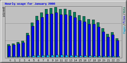 Hourly usage for January 2008