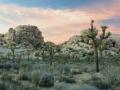 surreal landscape in Joshua Tree national park