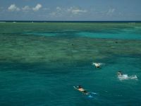 Hastings Reef photographed in January of 2003 using a Canon 1Ds camera and Sigma 15-30mm lens at 15mm