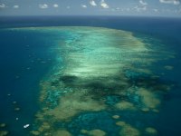 Hastings Reef photographed in January of 2003 using a Canon 1Ds camera and Sigma 15-30mm lense