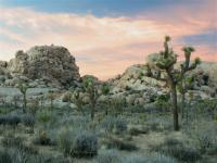 Joshua Tree National Park photographed in November of 2003 using a Canon D60 digital camera and Canon 28-105mm lens set to 45mm  (10 second exposure, f19, ISO 100, circular polarizer)